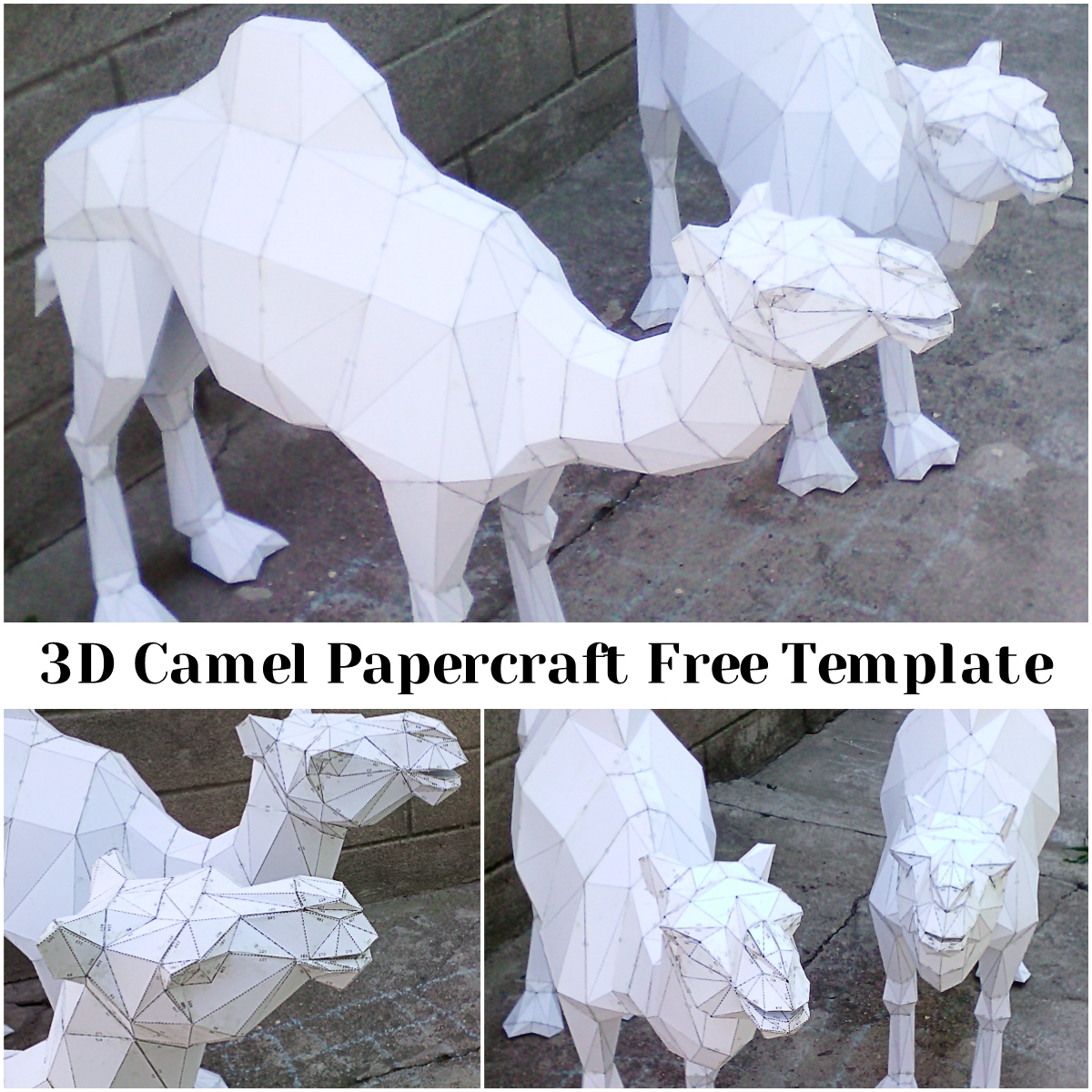 3d Camel Papercraft Free Template Free Download 3d Camel Papercraft Free Template Free Download