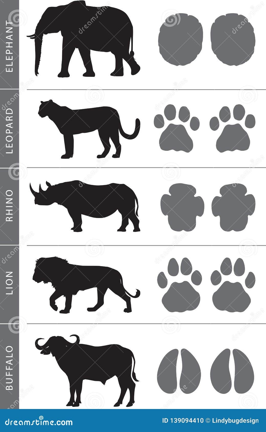 Africa s Big Five Footprints Stock Vector Illustration Of Africas Design 139094410 Africa s Big Five Footprints Stock Vector Illustration Of Africas Design 139094410