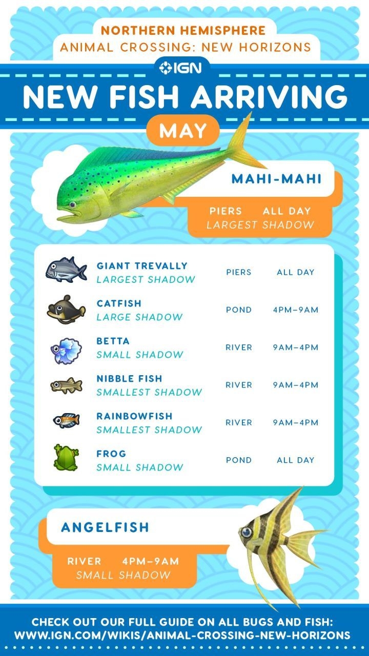 All May Bugs And Fish In Animal Crossing New Horizons IGN All May Bugs And Fish In Animal Crossing New Horizons IGN