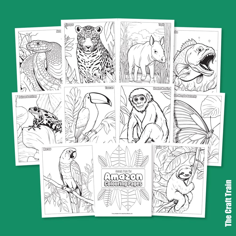 jungle animals printable coloring pages jungle animals printable coloring pages