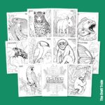 Amazon Animal Colouring Pages The Craft Train