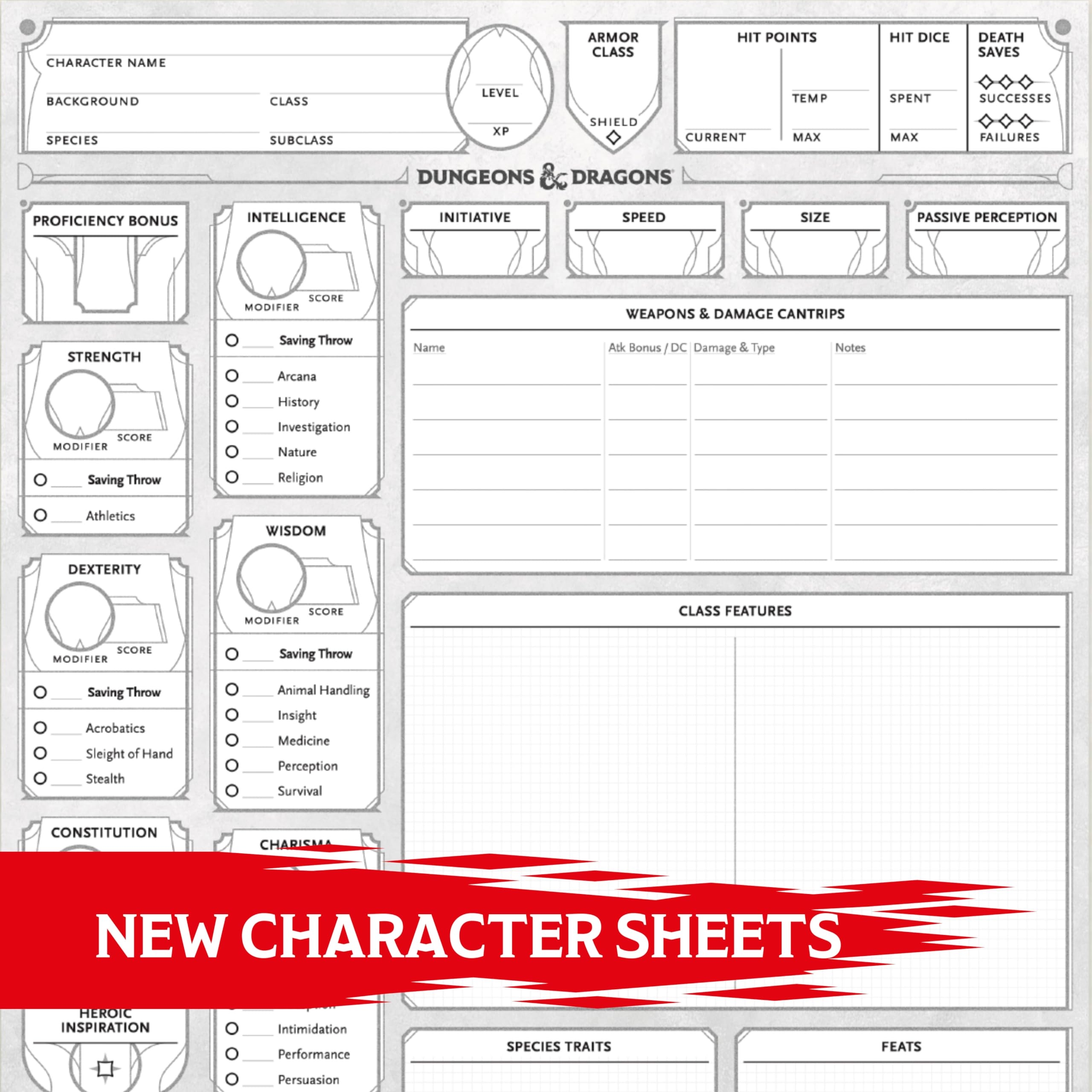 blank dnd character sheet printable