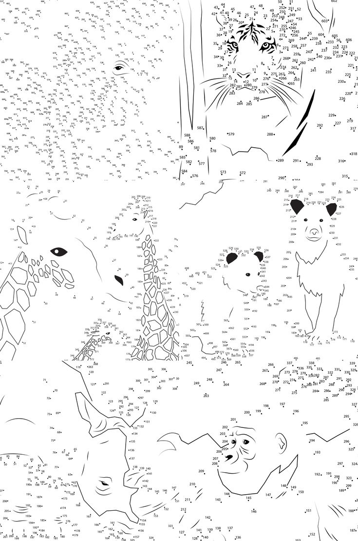 Animal Extreme Dot to Dot Collection 48 Printable Connect The Dot Activities