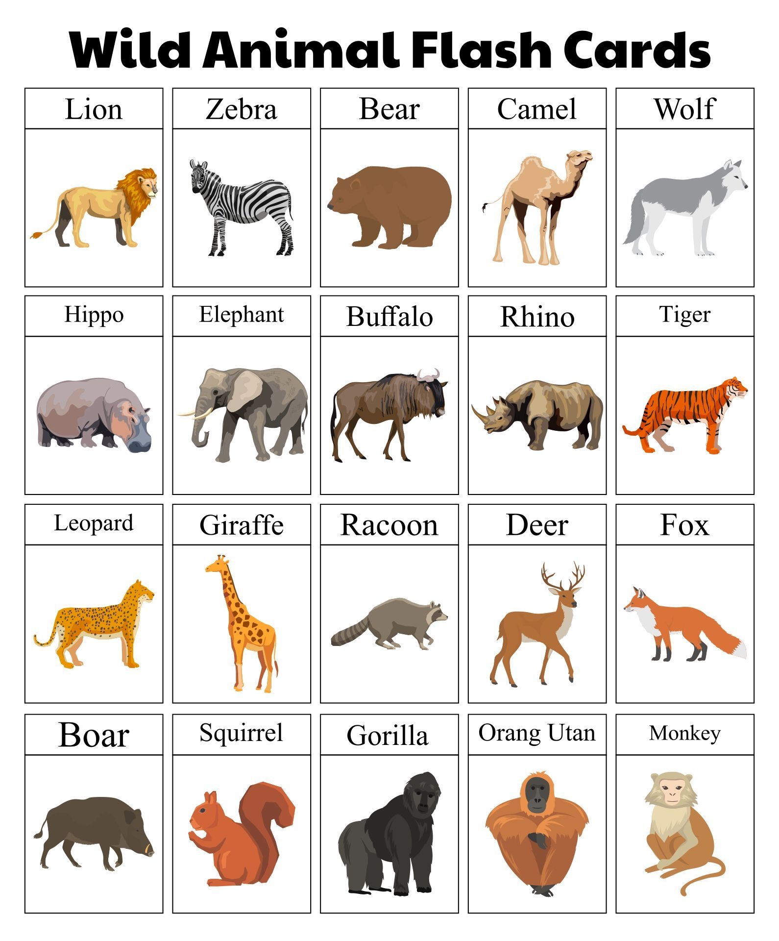 Animal Flash Cards 10 Free PDF Printables Printablee Animal Flash Cards 10 Free PDF Printables Printablee