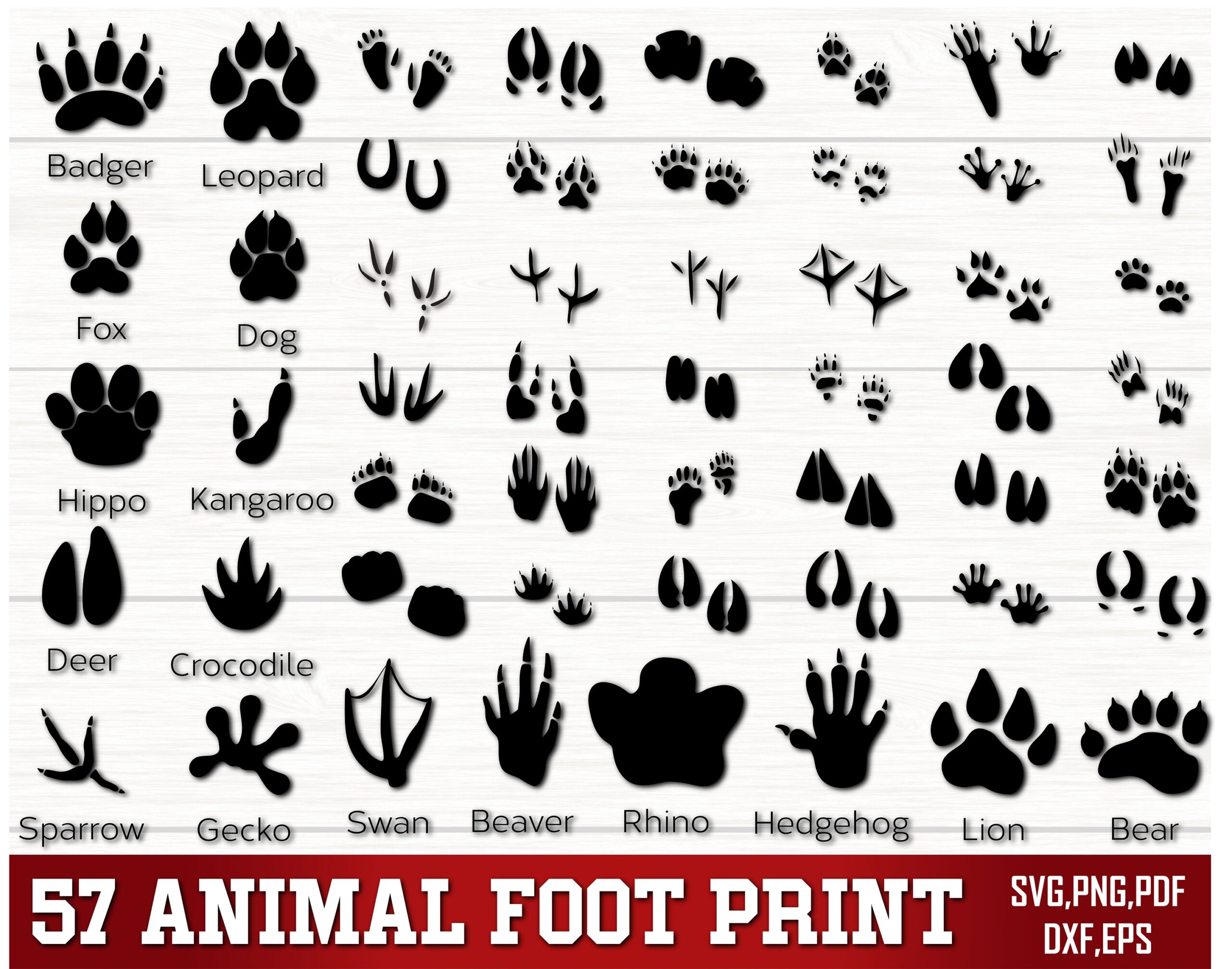 Animal Foot Print Svg Png Animal Tracks SVG Footprints Svg Wild Animals Foot Prints Svg Footprint Svg Bundle Hunting Svg Silhouette Etsy Animal Foot Print Svg Png Animal Tracks SVG Footprints Svg Wild Animals Foot Prints Svg Footprint Svg Bundle Hunting Svg Silhouette Etsy