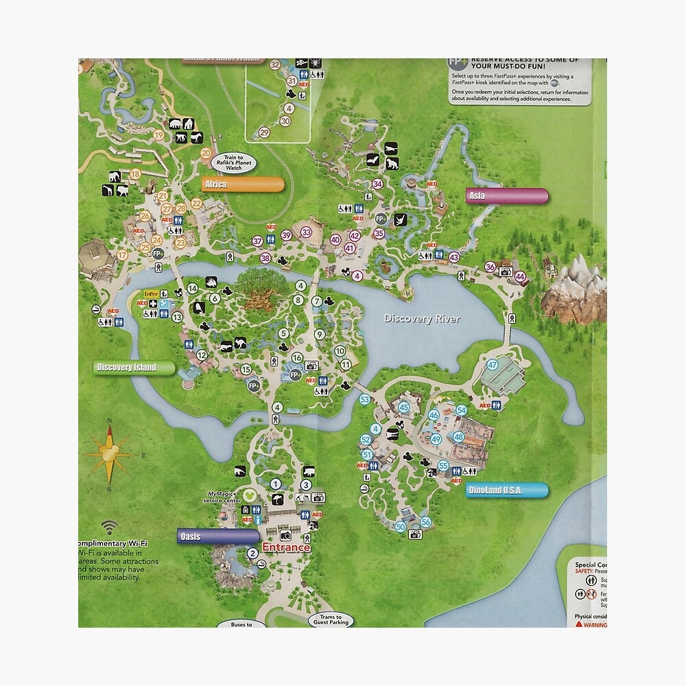 printable map of animal kingdom printable map of animal kingdom