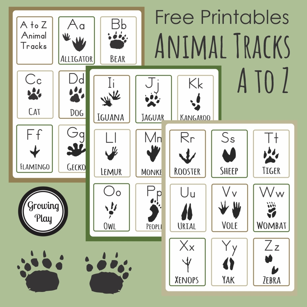 Animal Track Printables From A To Z Growing Play Animal Track Printables From A To Z Growing Play