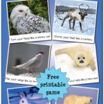 Arctic Animals Gross Motor Movement Game free Printable Gift Of Curiosity