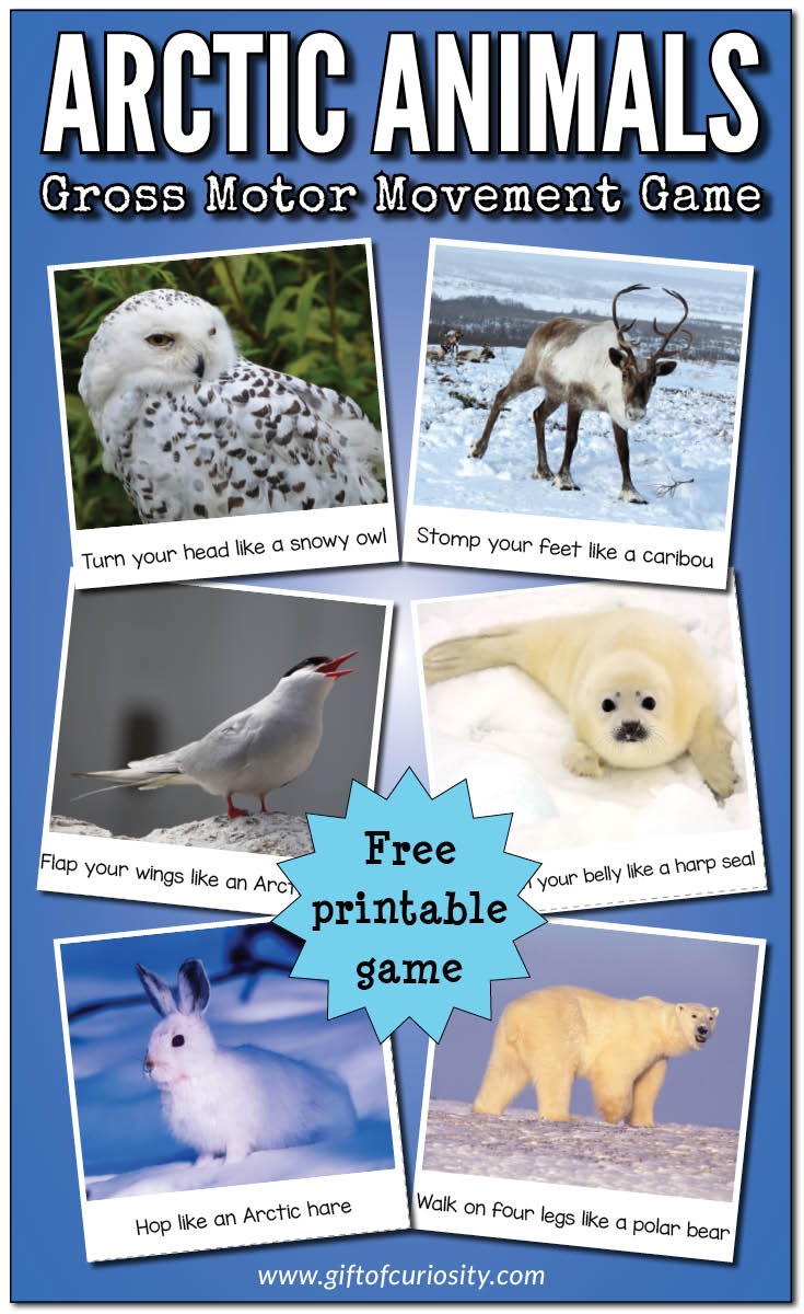 Arctic Animals Gross Motor Movement Game free Printable Gift Of Curiosity Arctic Animals Gross Motor Movement Game free Printable Gift Of Curiosity