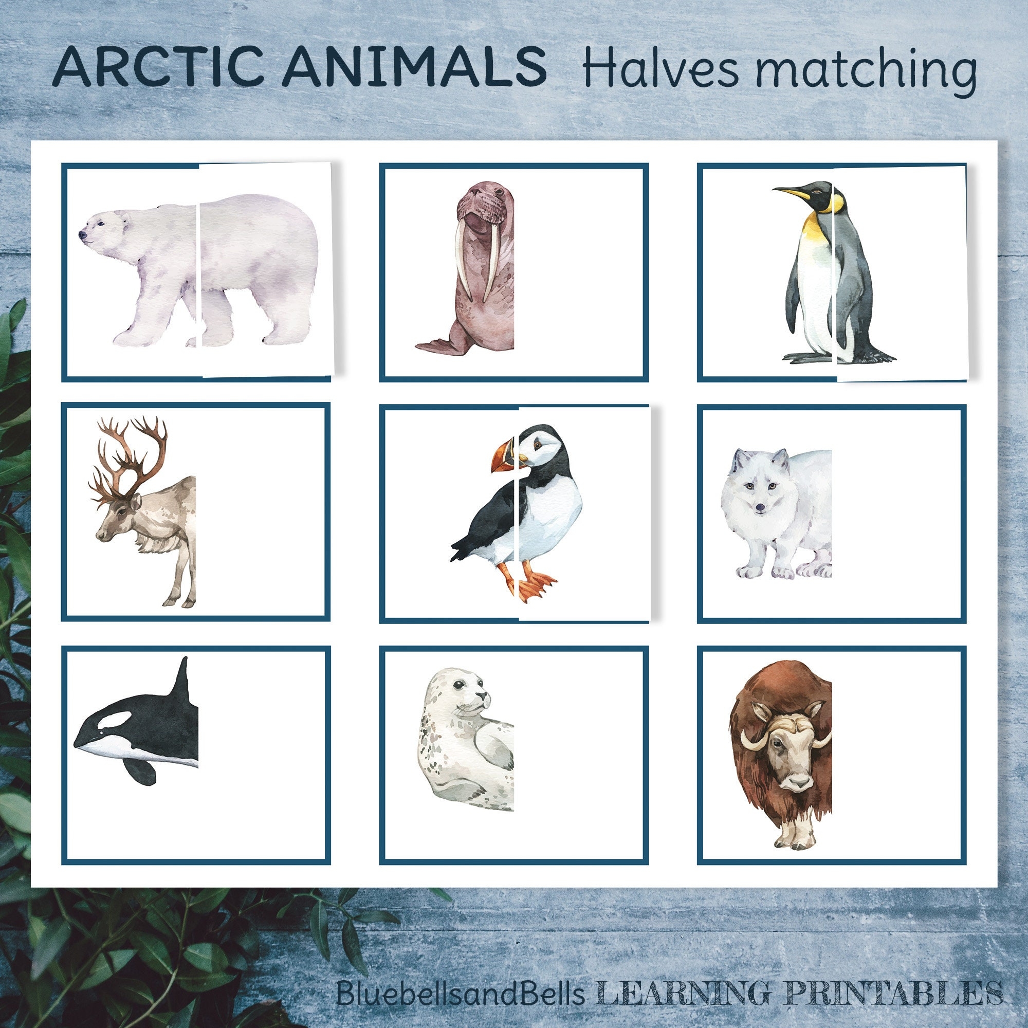 Arctic Animals Puzzle Printable Halves Matching Toddler Activity Etsy Arctic Animals Puzzle Printable Halves Matching Toddler Activity Etsy