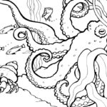 Coloring Pages Activities Monterey Bay Aquarium