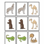 Desert Animal Printables Teaching Mama