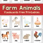 Farm Animals Flashcards The Teaching Aunt