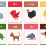 Free Animal Flashcards To Customize And Print Canva