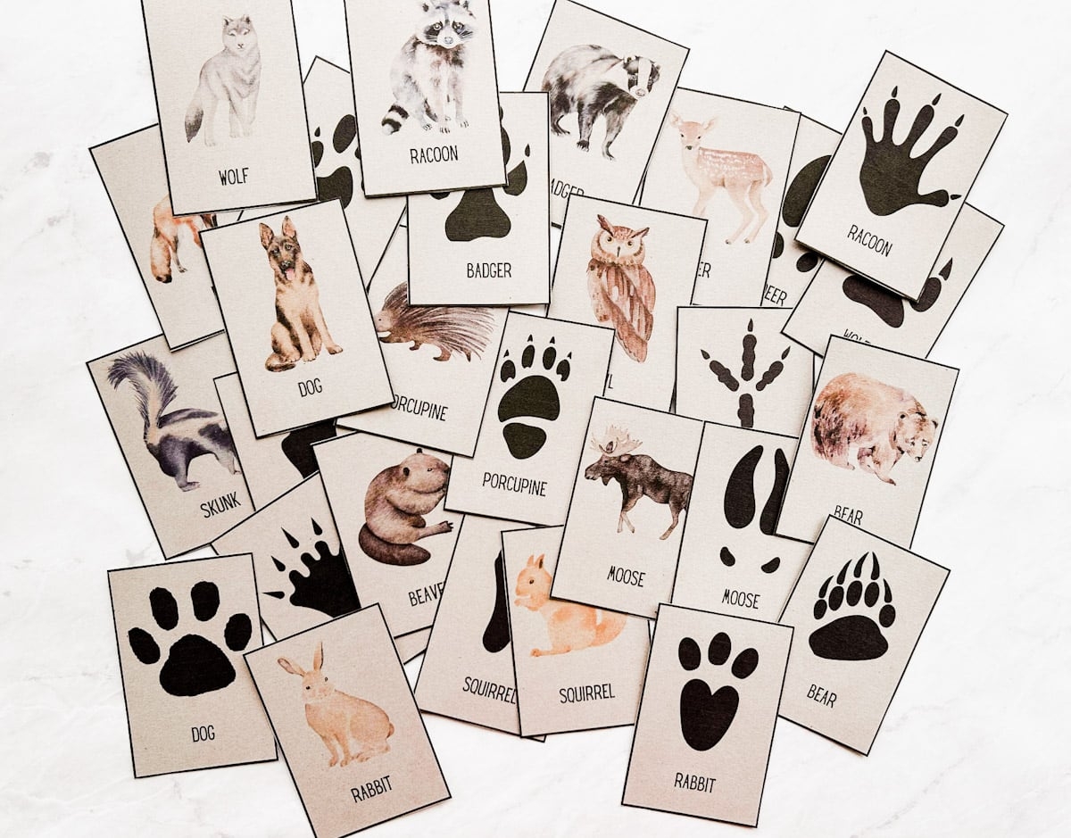 Free Animal Tracks Printable Cards Nature Activity Fox Farm Home