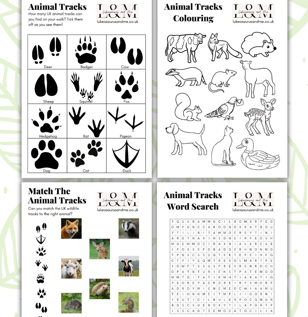 Free Nature Printables For Kids British Wildlife Tracks Worksheets Lukeosaurus And Me Free Nature Printables For Kids British Wildlife Tracks Worksheets Lukeosaurus And Me