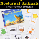 FREE Nocturnal Animals Printables