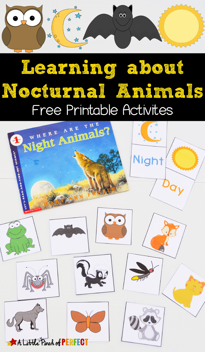 FREE Nocturnal Animals Printables FREE Nocturnal Animals Printables