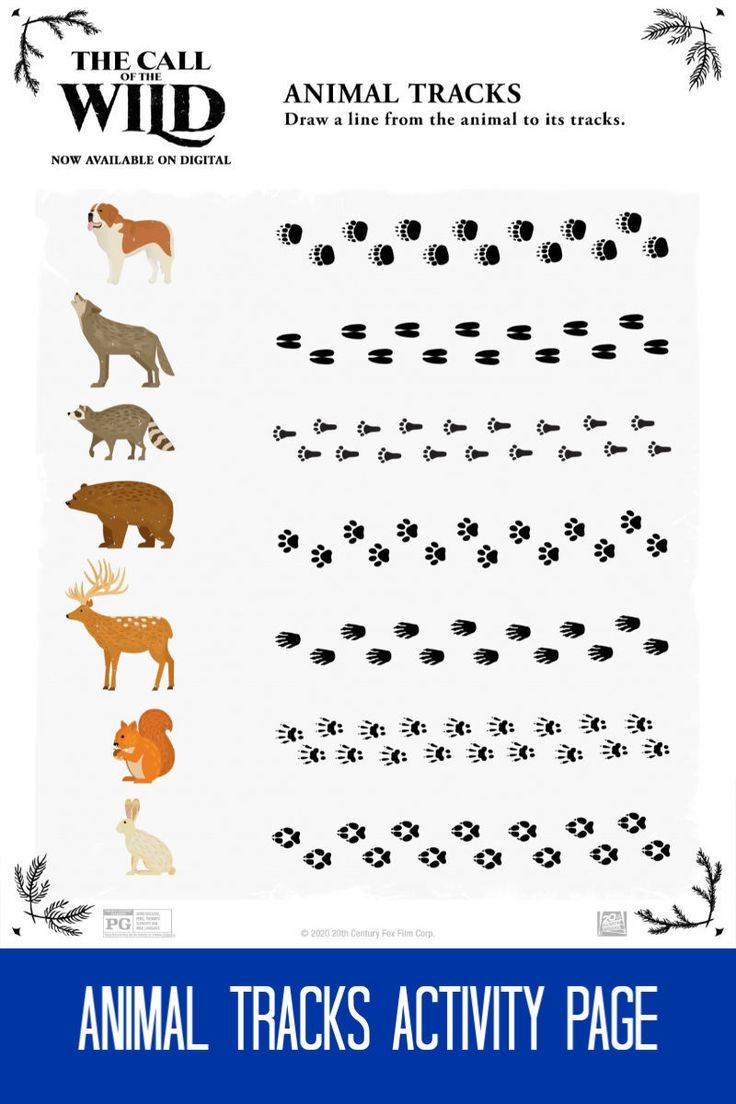 Free Printable Animal Tracks Activity Page Free Printable Animal Tracks Activity Page