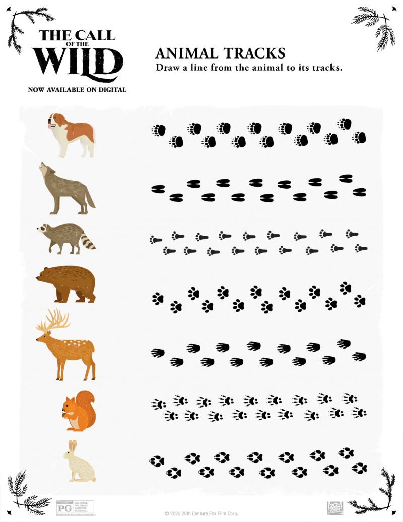 Free Printable Animal Tracks Activity Page Mama Likes This Free Printable Animal Tracks Activity Page Mama Likes This