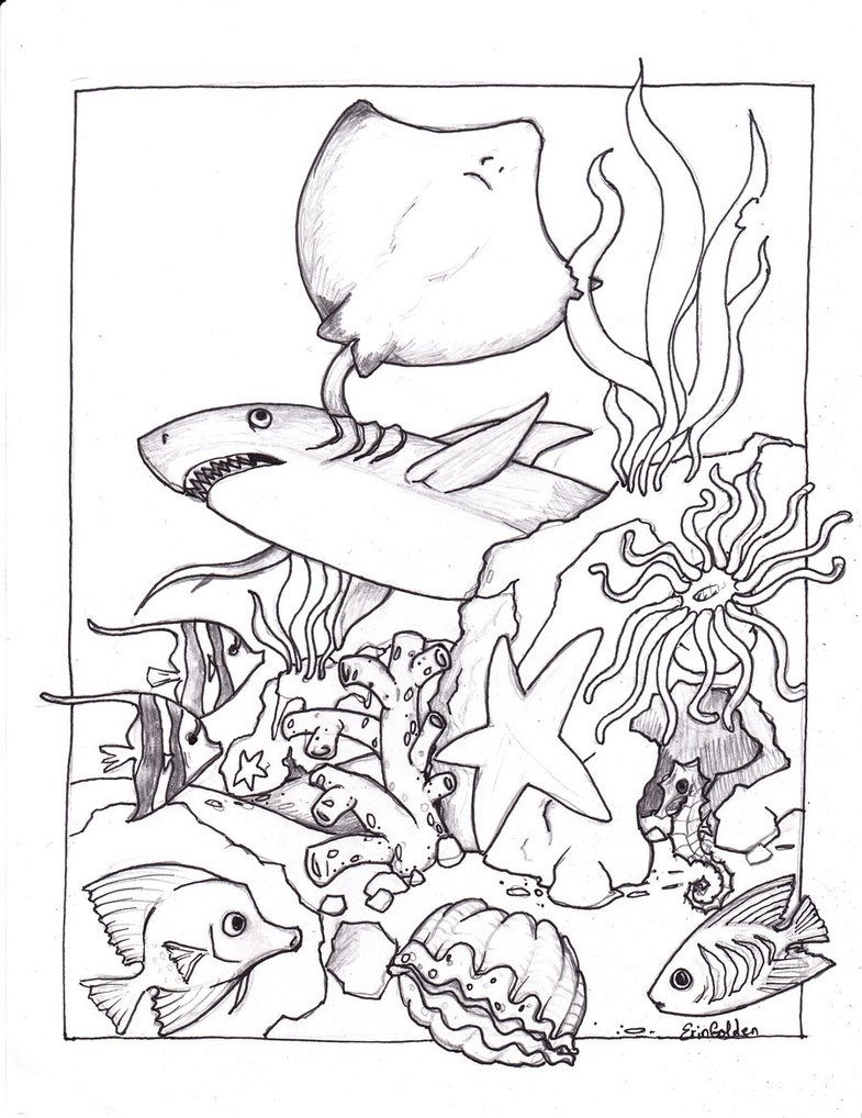 coloring pages of sea animals printable