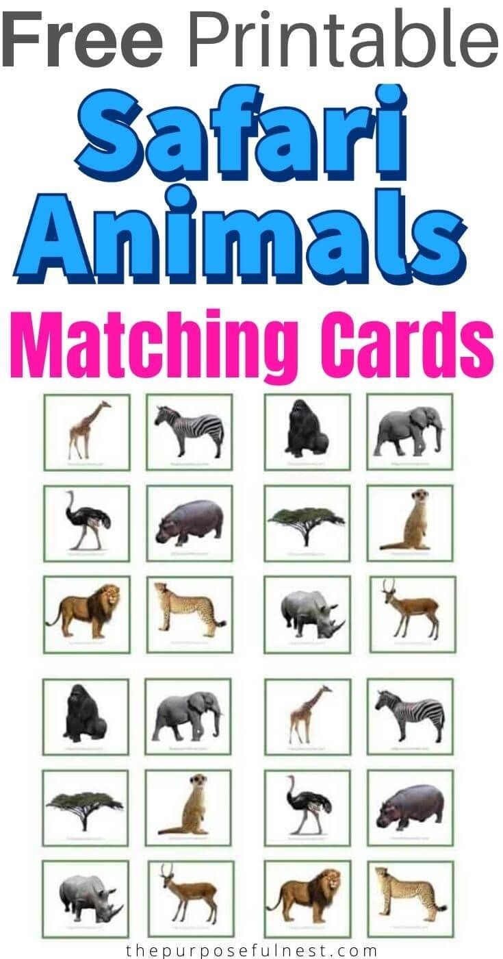 printable animal matching game