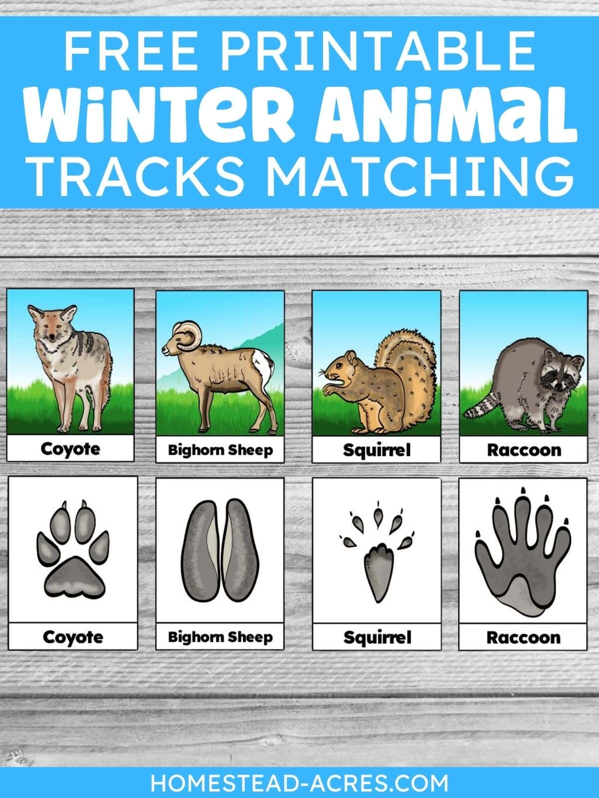Free Printable Winter Animal Tracks Identification Matching Cards