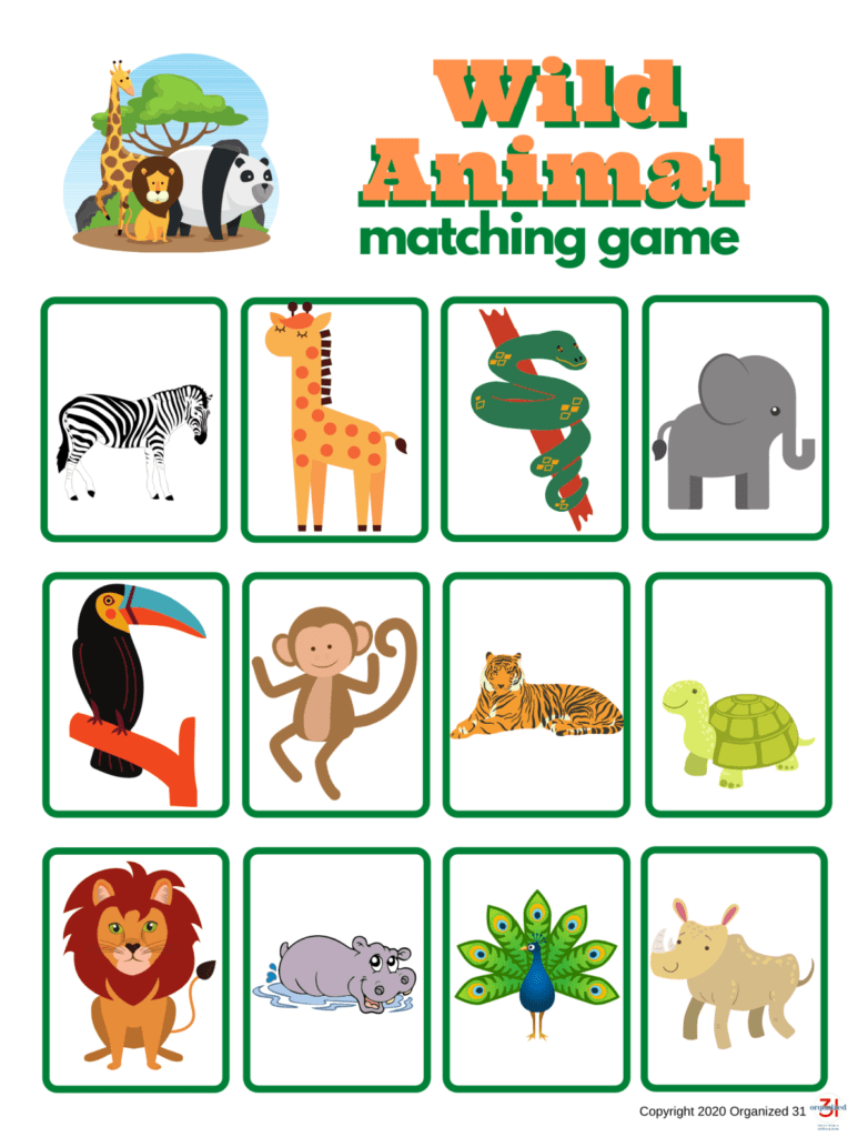 Free Wild Animal Matching Game Organized 31