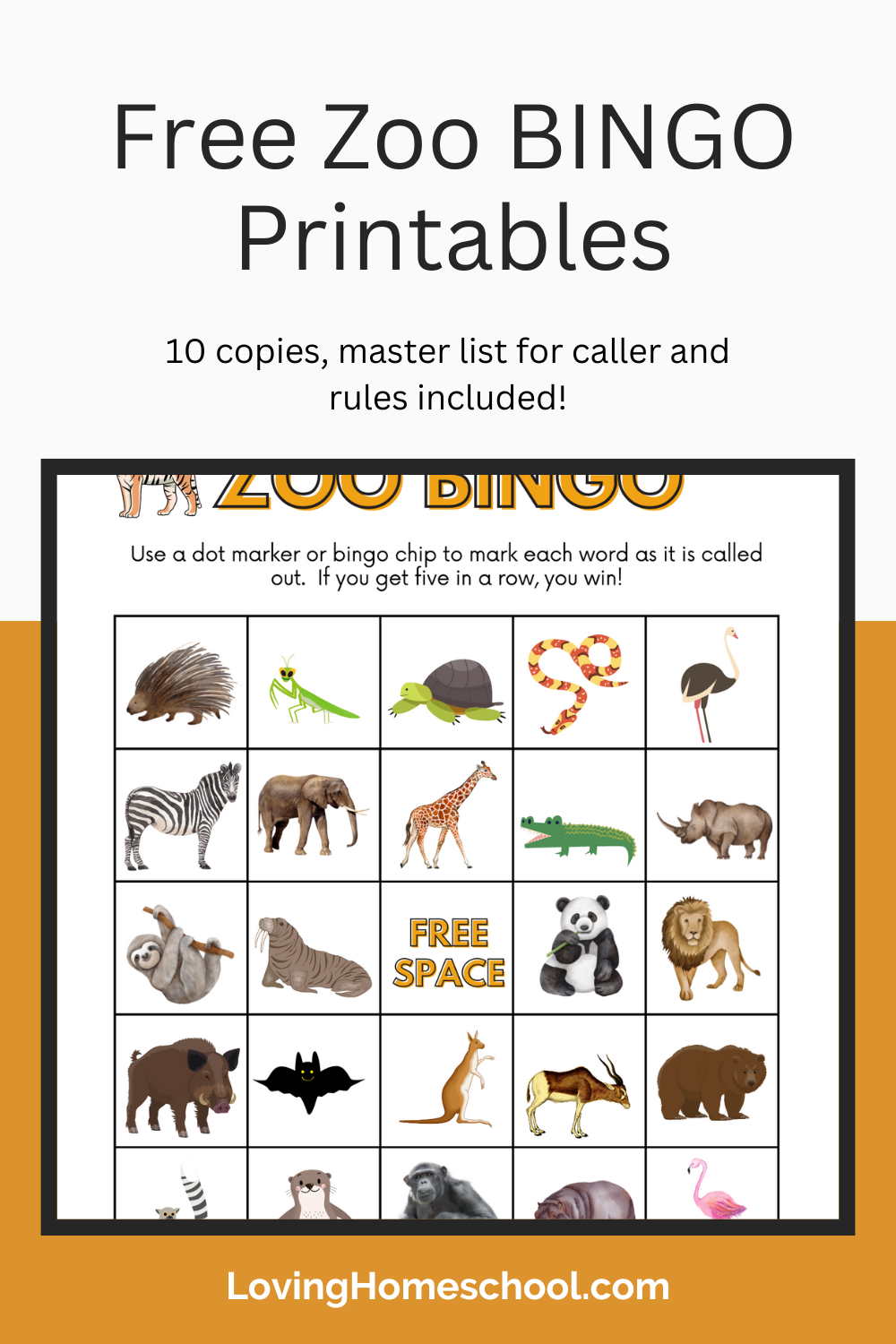 Free Zoo BINGO Printables LovingHomeschool Free Zoo BINGO Printables LovingHomeschool