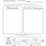 Hibernating Animals Worksheet Free Printable Digital PDF