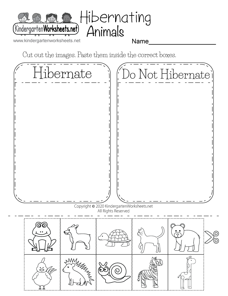 Hibernating Animals Worksheet Free Printable Digital PDF Hibernating Animals Worksheet Free Printable Digital PDF