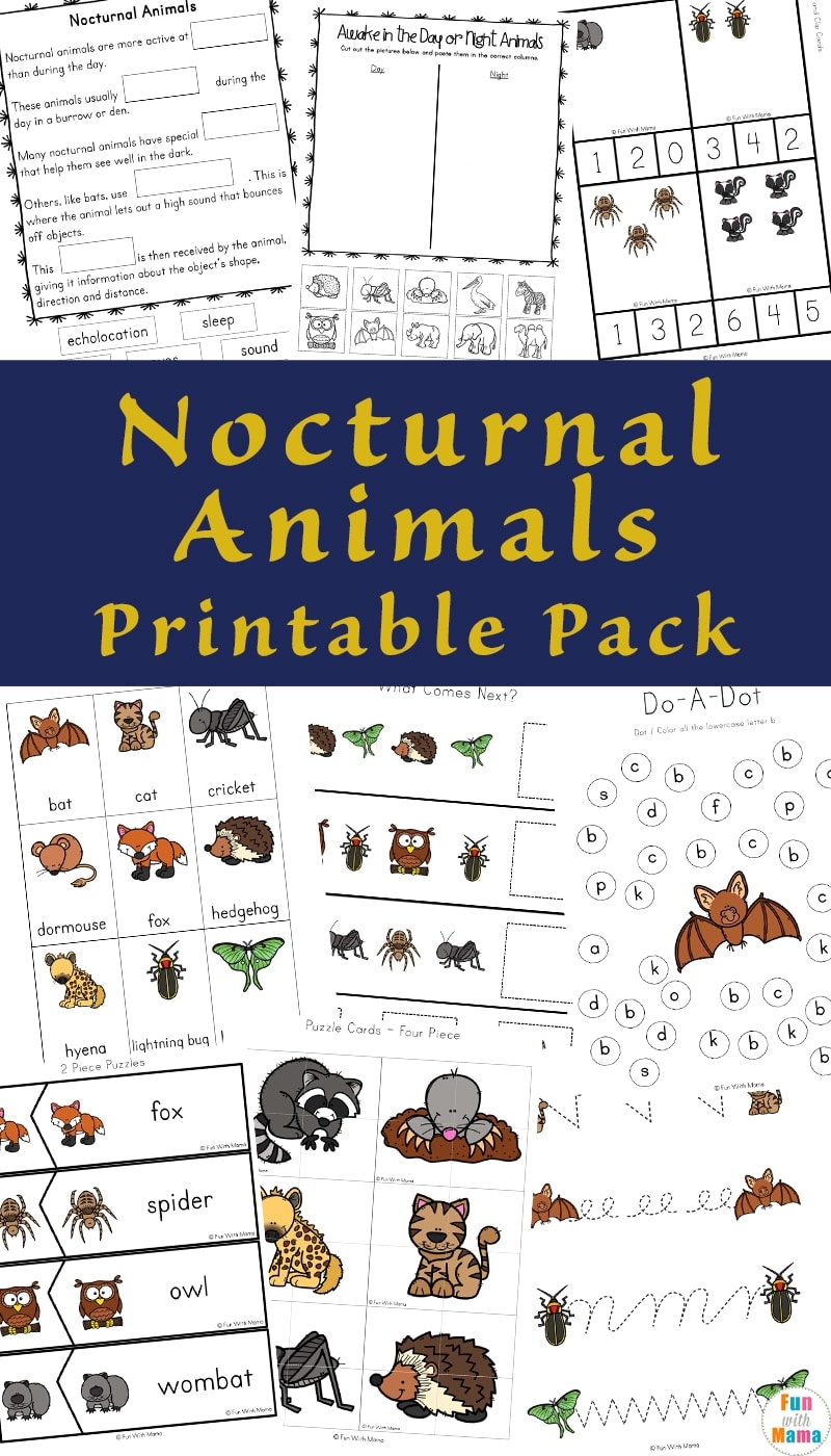Nocturnal Animals For Kids Fun With Mama Nocturnal Animals For Kids Fun With Mama