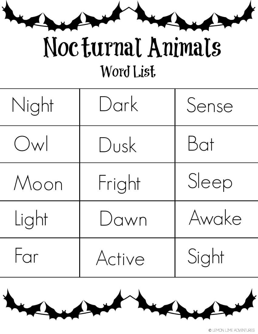 Nocturnal Animals Writing Tray With Free Printable Word List Nocturnal Animals Writing Tray With Free Printable Word List