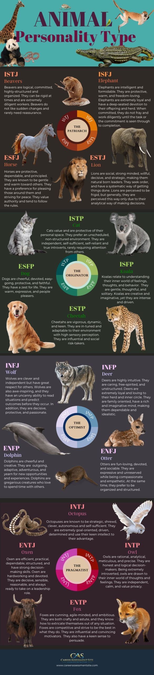 animal personality test printable