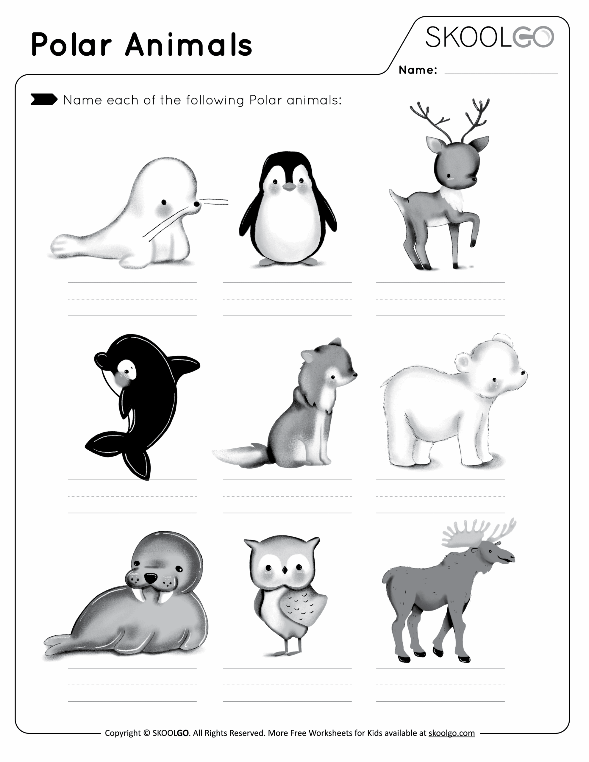 Polar Animals Free Worksheet SKOOLGO Polar Animals Free Worksheet SKOOLGO