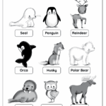 Polar Animals Free Worksheet SKOOLGO