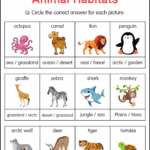 Printable Animal Habitats Worksheets Habitat Of Animals Activity For Grade 3 Made By Teachers