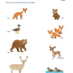 Printable Baby Animal Match Up Little Passports
