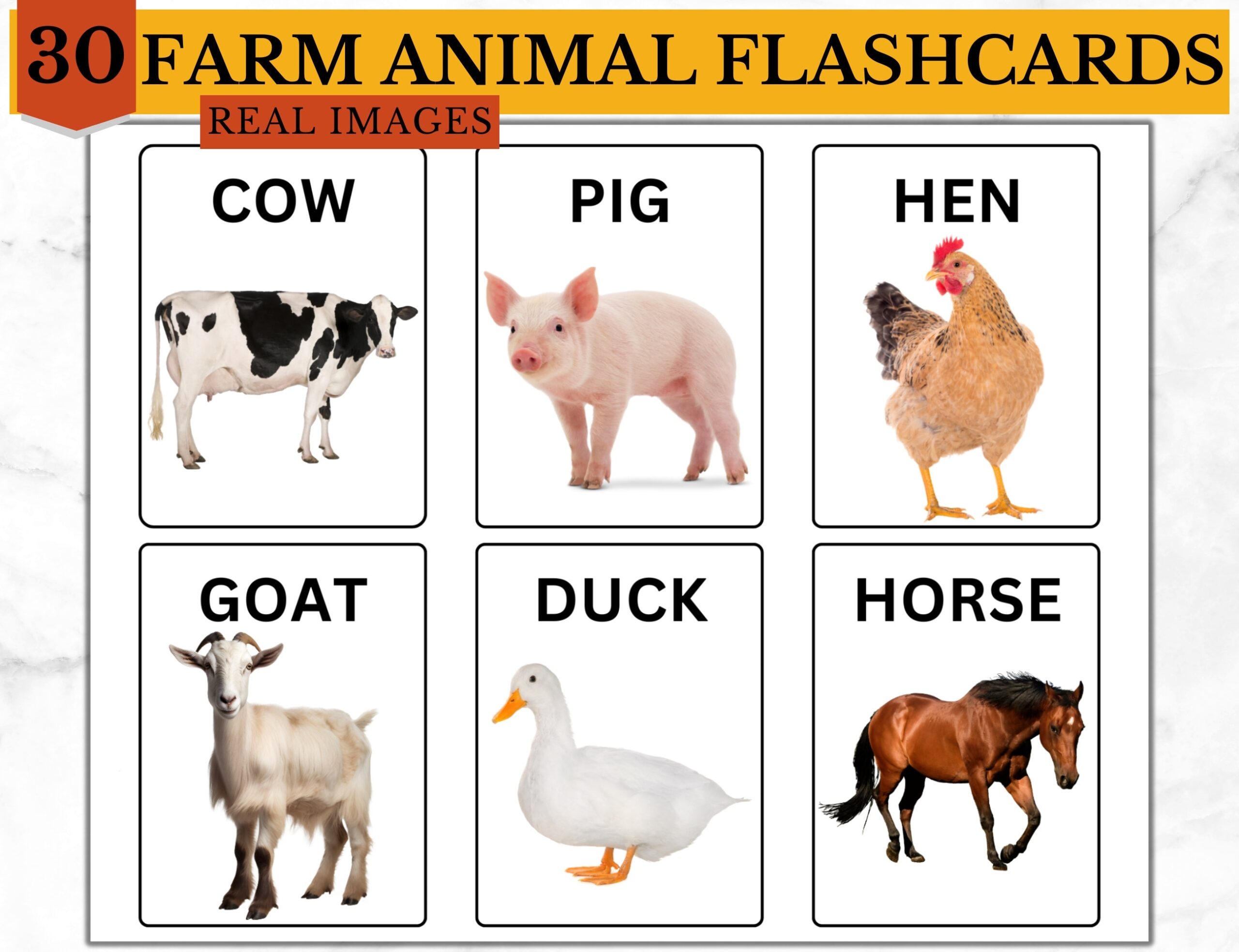Real Farm Animal Flashcards Montessori Educational Print PDF Etsy
