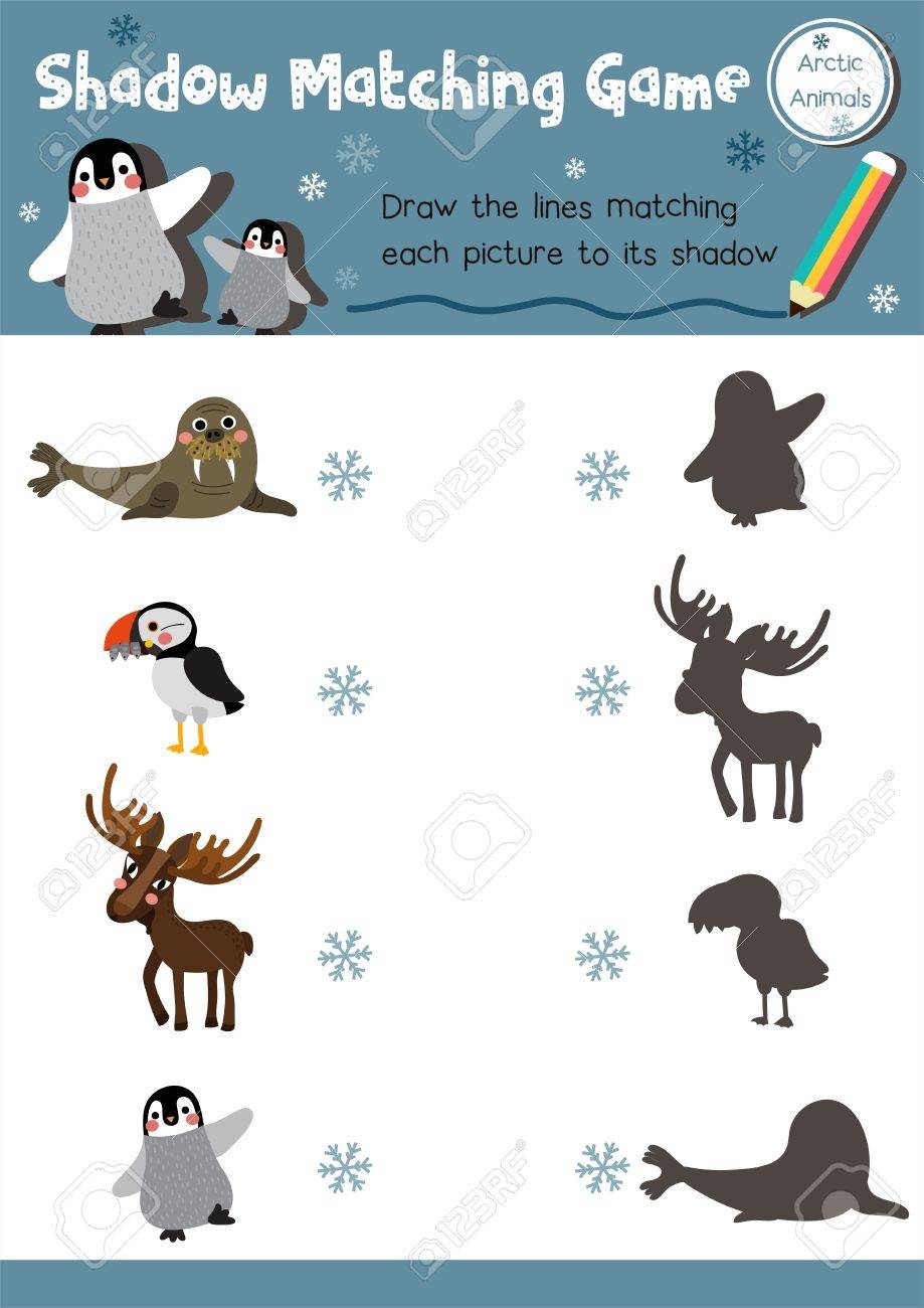 arctic animal matching game printable arctic animal matching game printable
