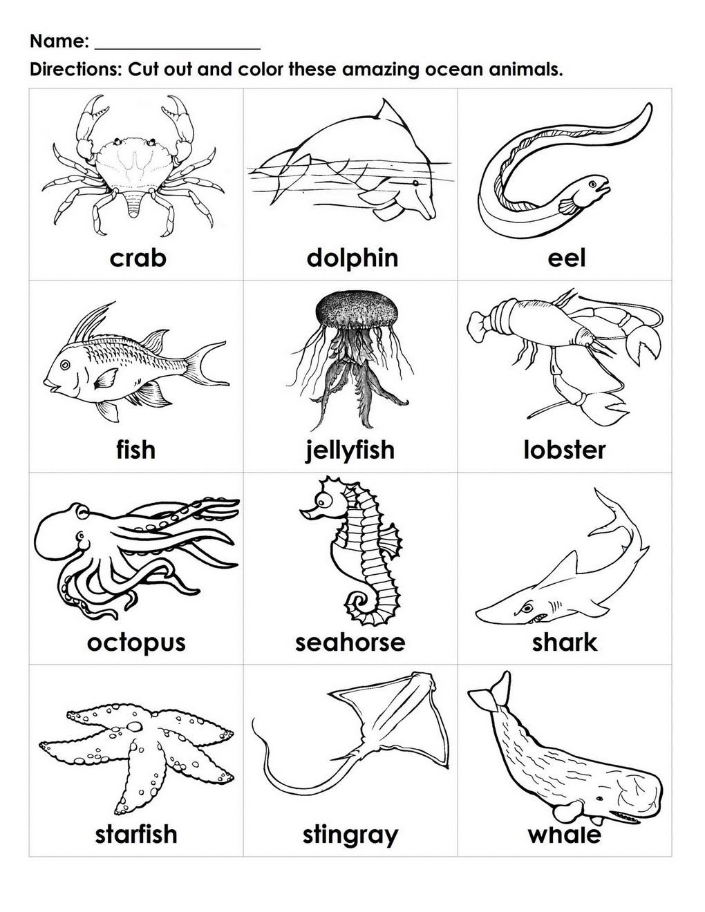 printable pictures of ocean animals printable pictures of ocean animals