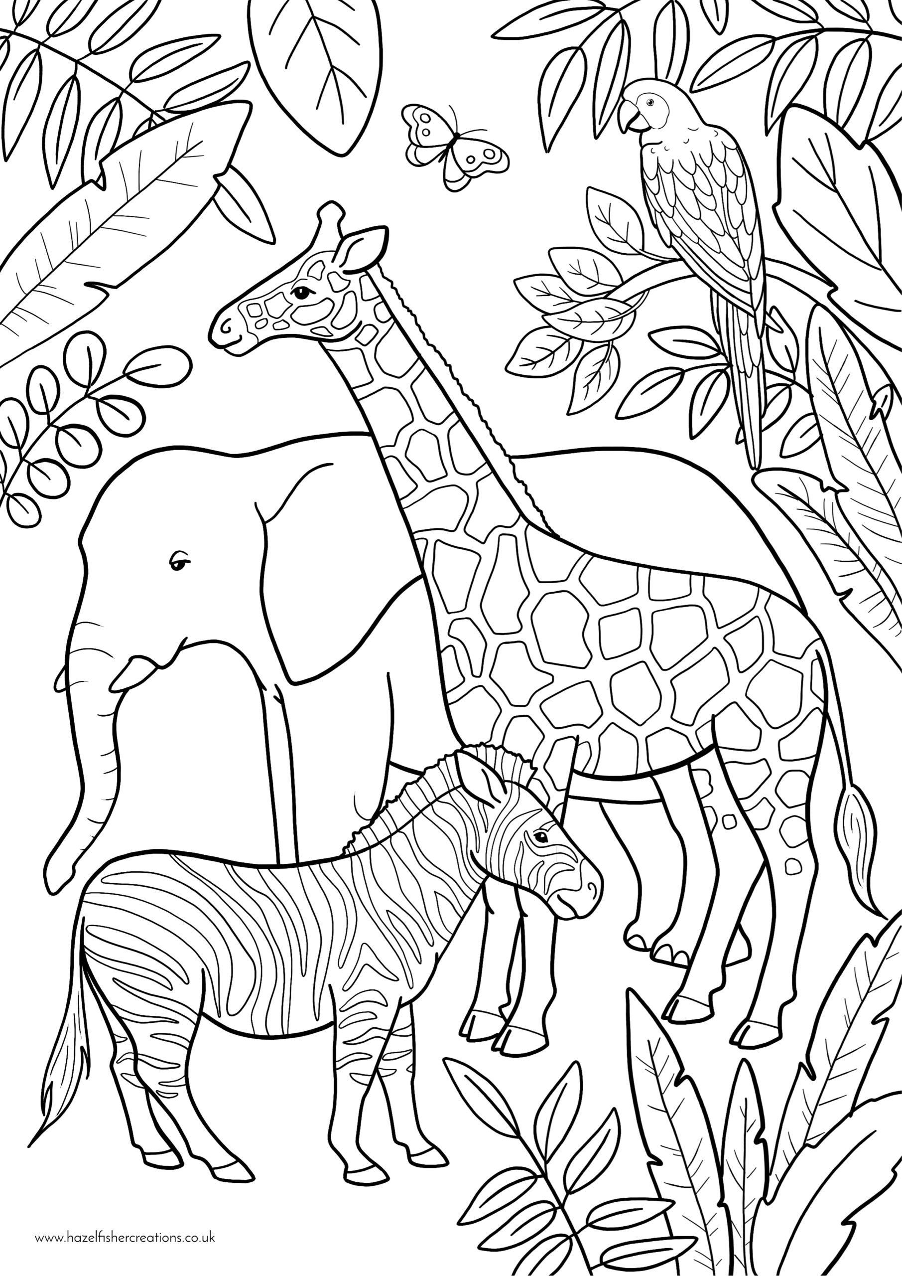 Zoo Animals Colouring In Activity Sheet Printables Zoo Animals Colouring In Activity Sheet Printables