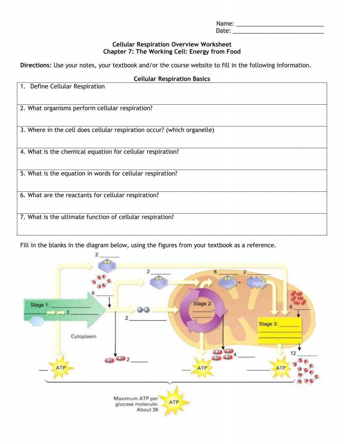 Cellular Respiration Overview Worksheet Chapter 7 Cellular Respiration Overview Worksheet Chapter 7