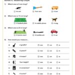 Choosing The Correct Units Of Measure Worksheet PDF Printable Number Worksheets
