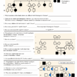 Genetics Pedigree Worksheet Cheat Sheet Biology Docsity