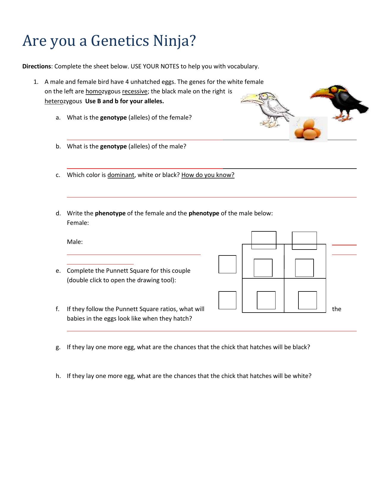 Genetics Worksheet Mendelian Genetics Problems