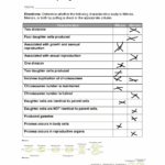 Kami Export Comparing Mitosis And Meiosis Worksheet Comparing Mitosis And Meiosis Name Studocu