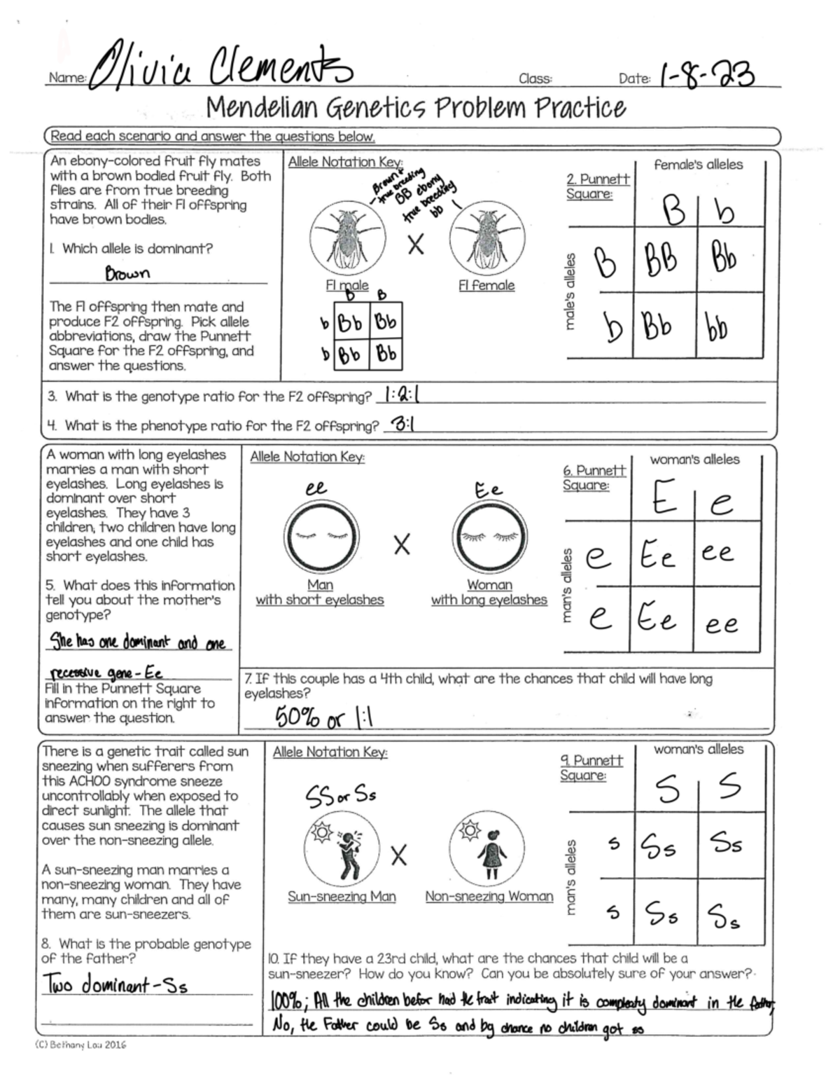mendelian genetics worksheet answer key