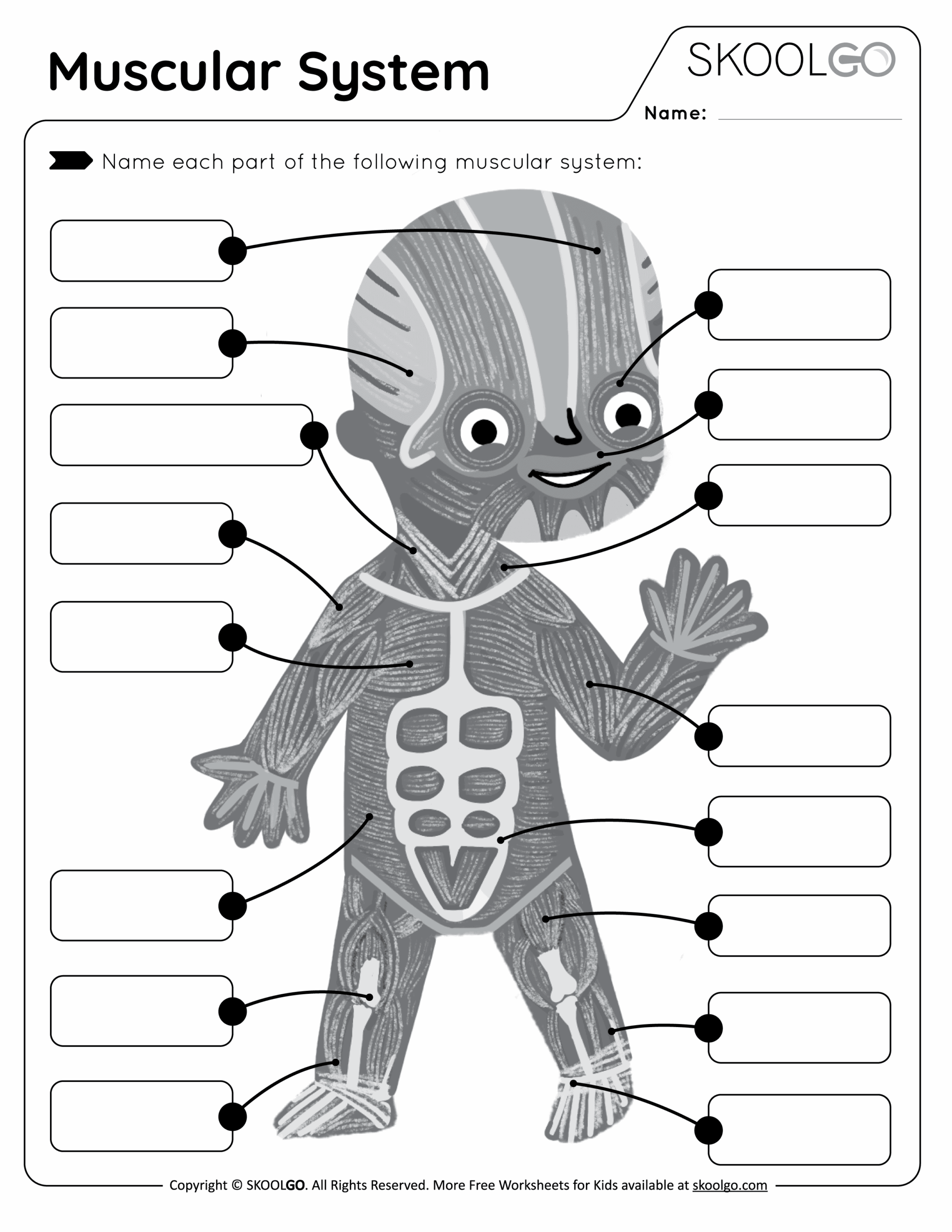 Muscular System Free Worksheet For Kids SKOOLGO
