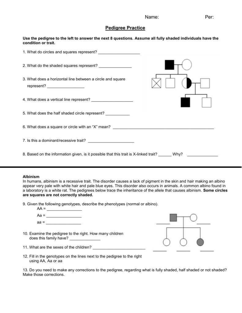 pedigree practice worksheet pedigree practice worksheet